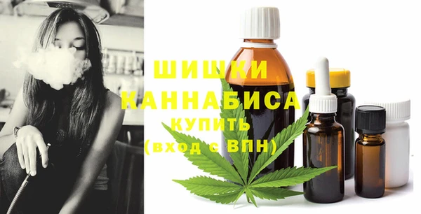 стаф Балахна