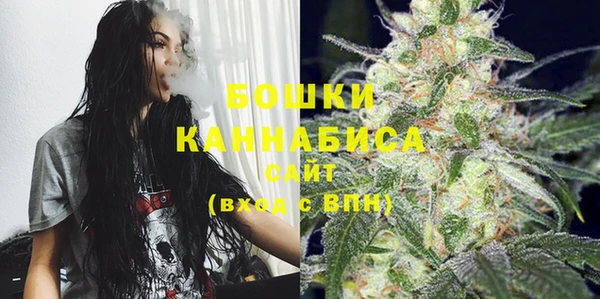 прущие крисы Белокуриха