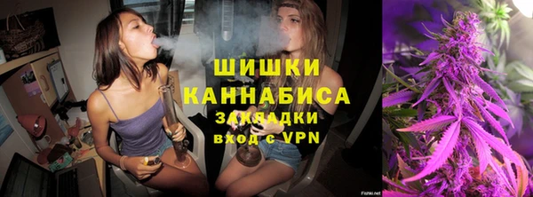 стаф Балахна
