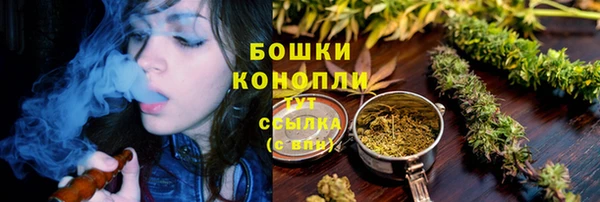 стаф Балахна