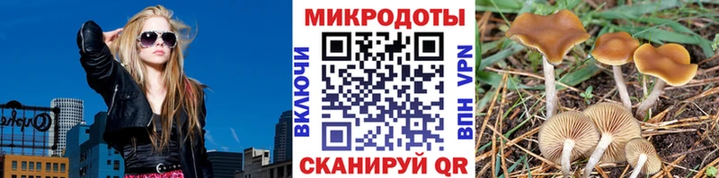Псилоцибиновые грибы Psilocybine cubensis  купить закладку  Верхотурье 
